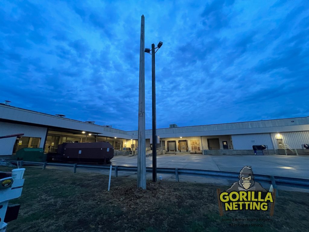 Lighting pole installation.