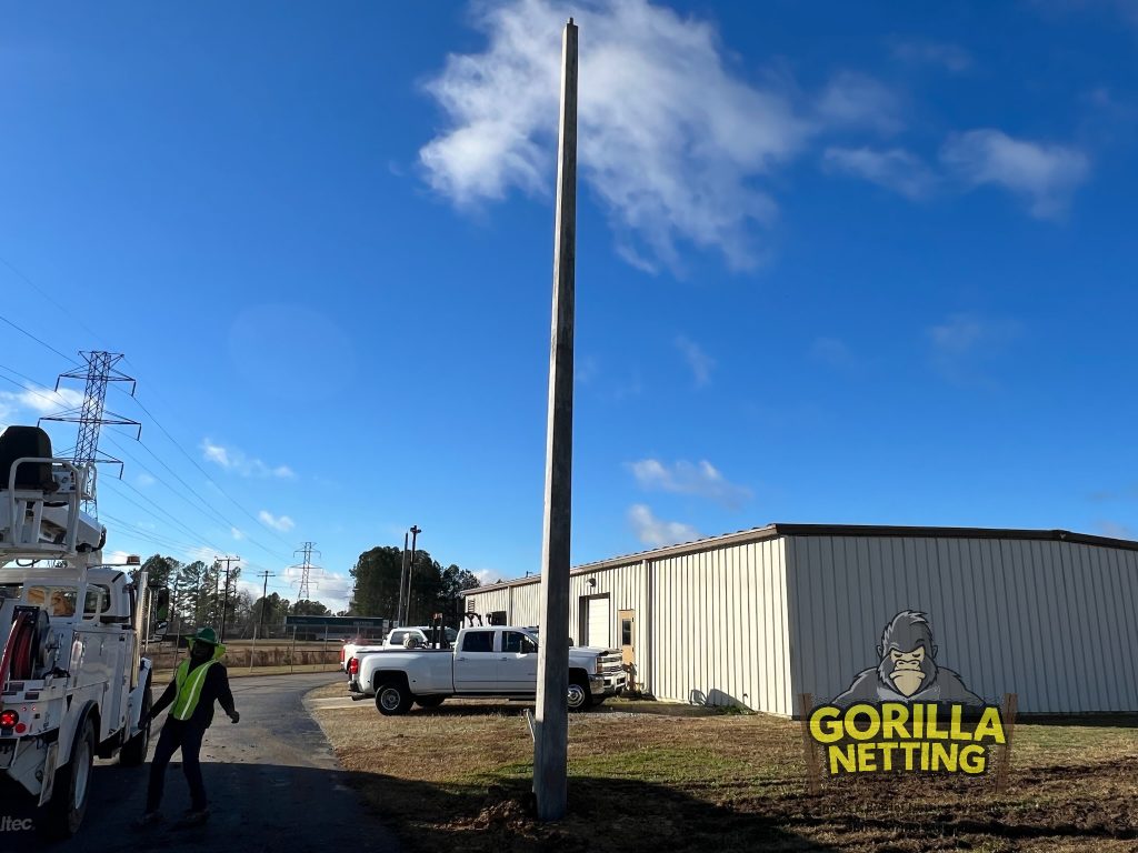 Lighting pole installation.